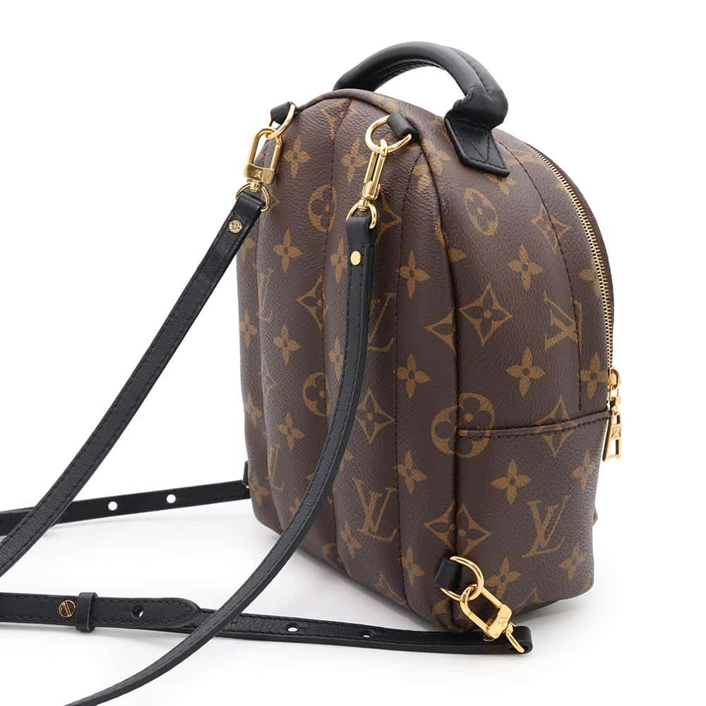 LOUIS VUITTON Palm Springs Backpack NoirM44873 Monogram Size MINI