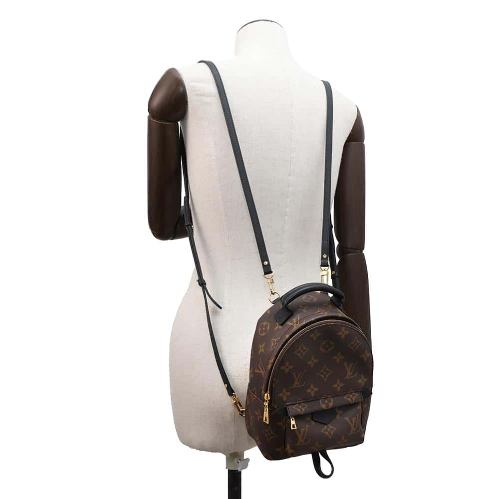 LOUIS VUITTON Palm Springs Backpack NoirM44873 Monogram Size MINI