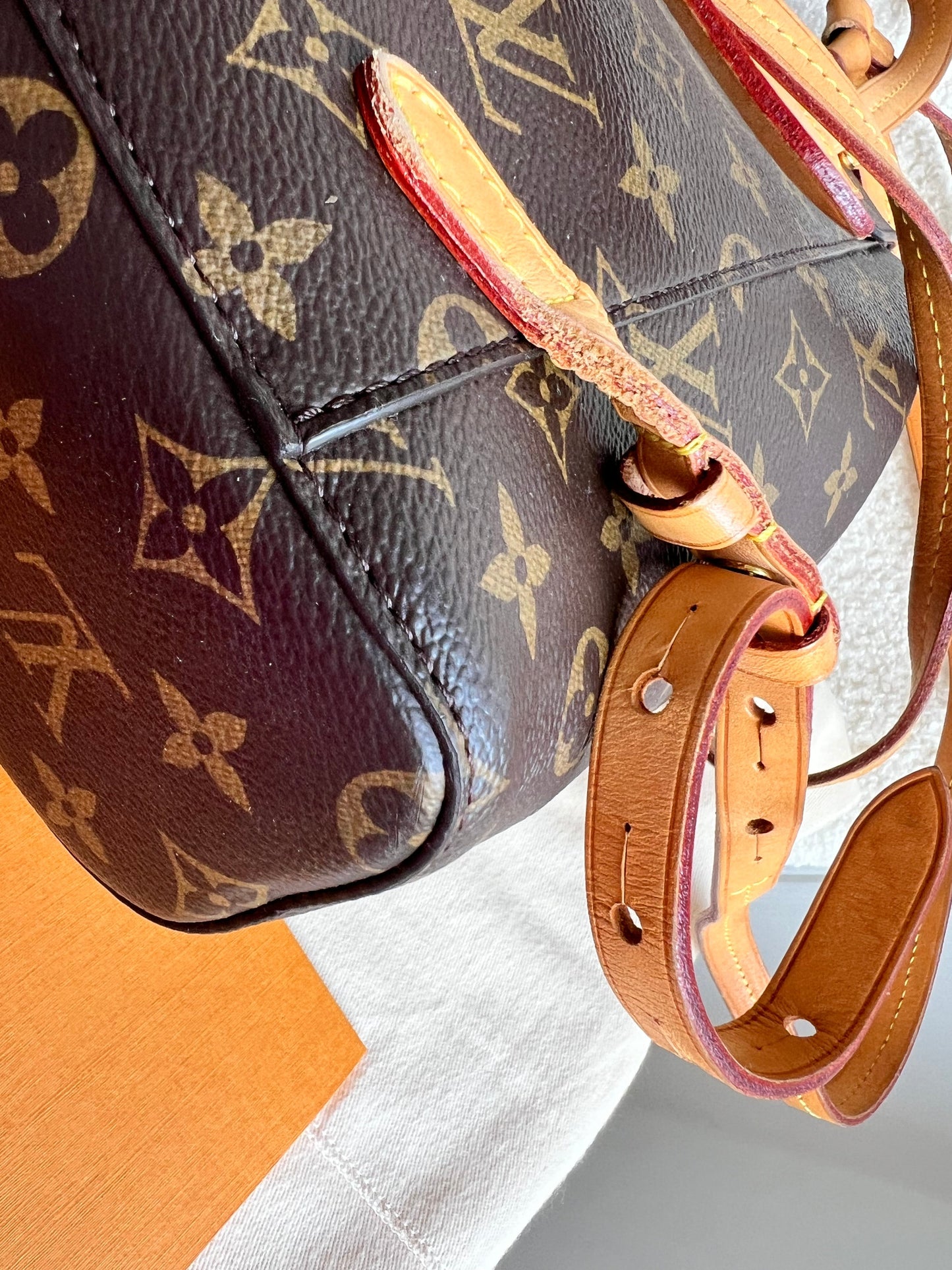 Louis Vuitton Montsouris PM Backpack (£1980)