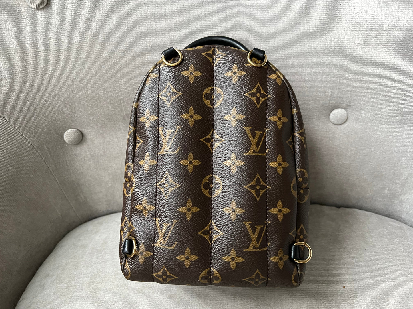 Louis Vuitton Palm Springs Mini Backpack - one strap