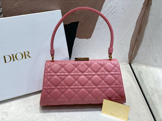 BLUSH BAGZ - Dior Bags - 064