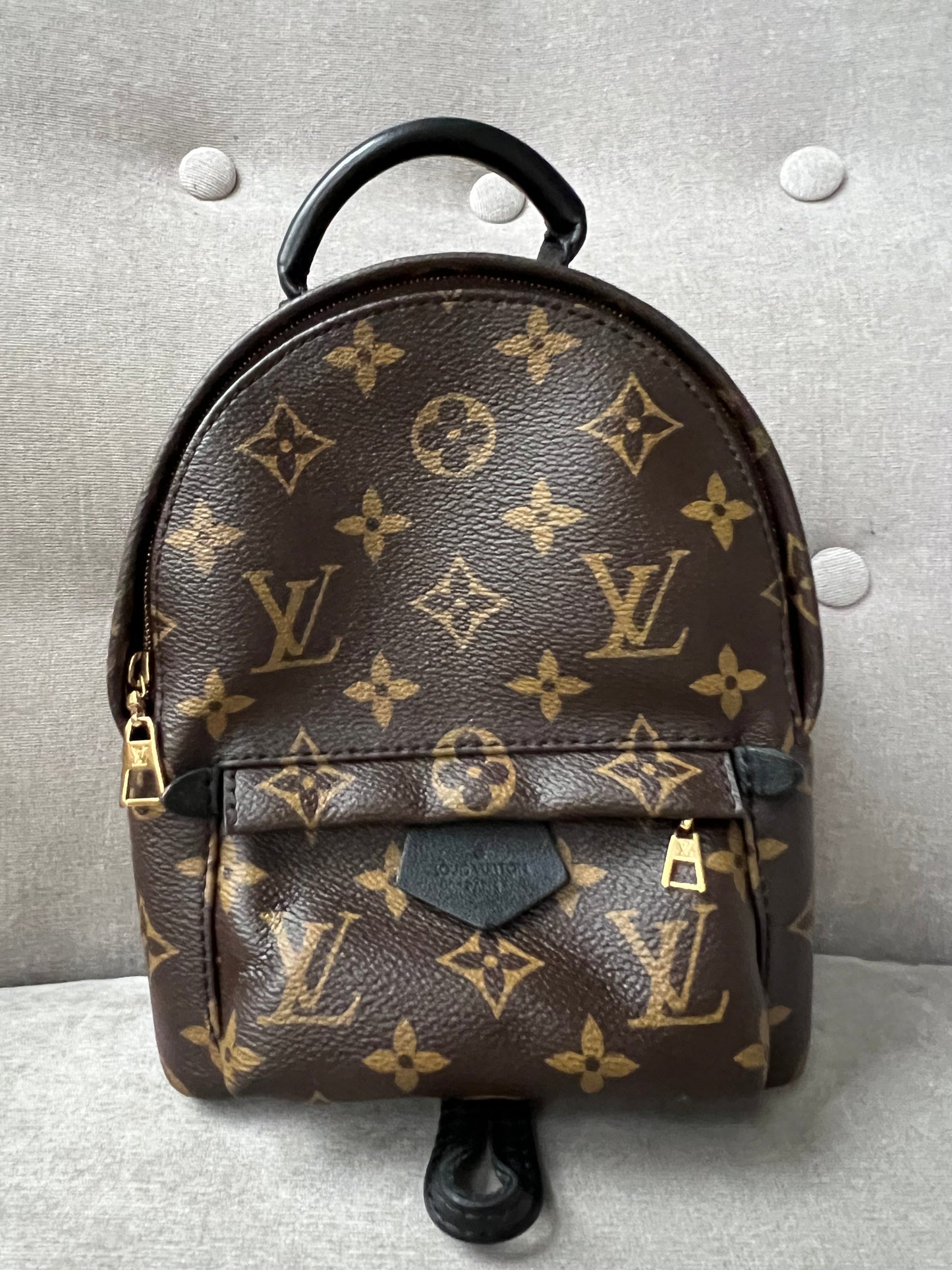 Louis Vuitton Palm Springs Mini Backpack - one strap