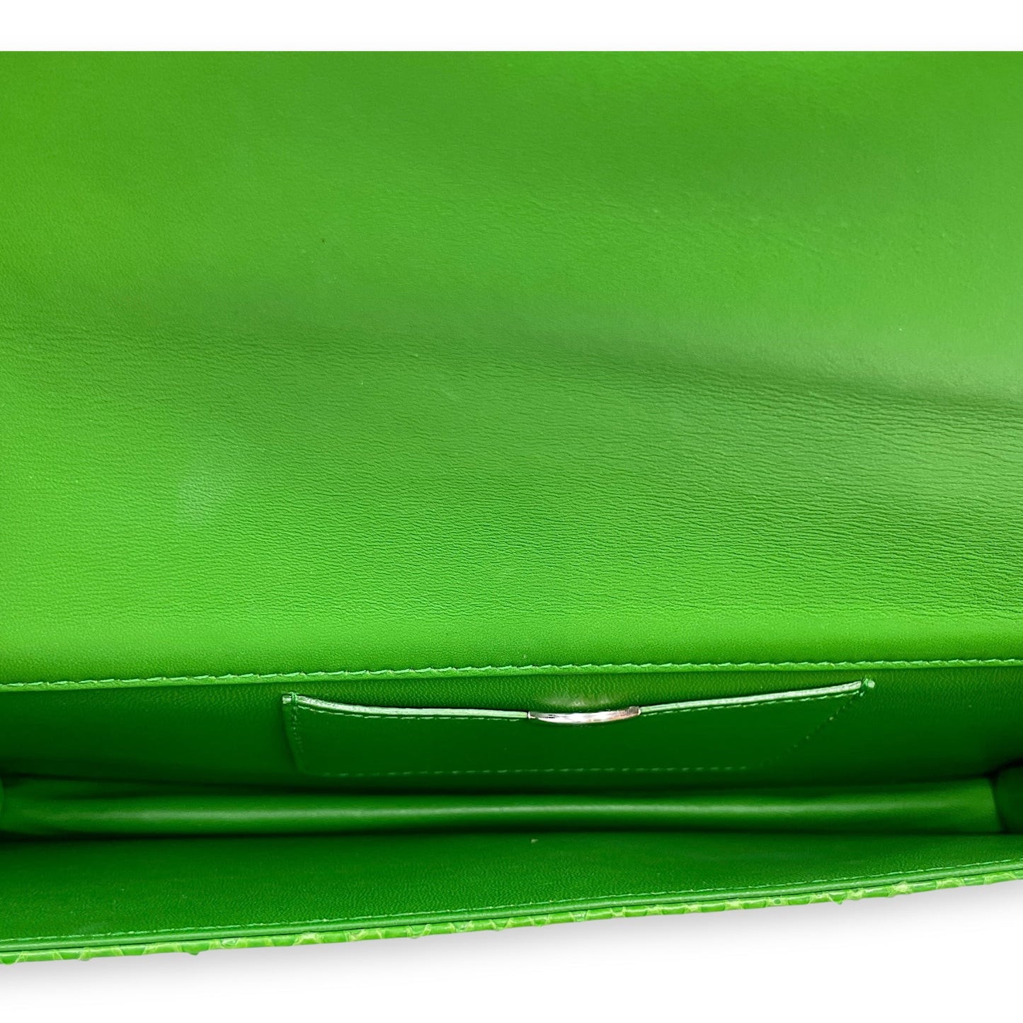 Diorama Green Clutch in Python, Silver hardware