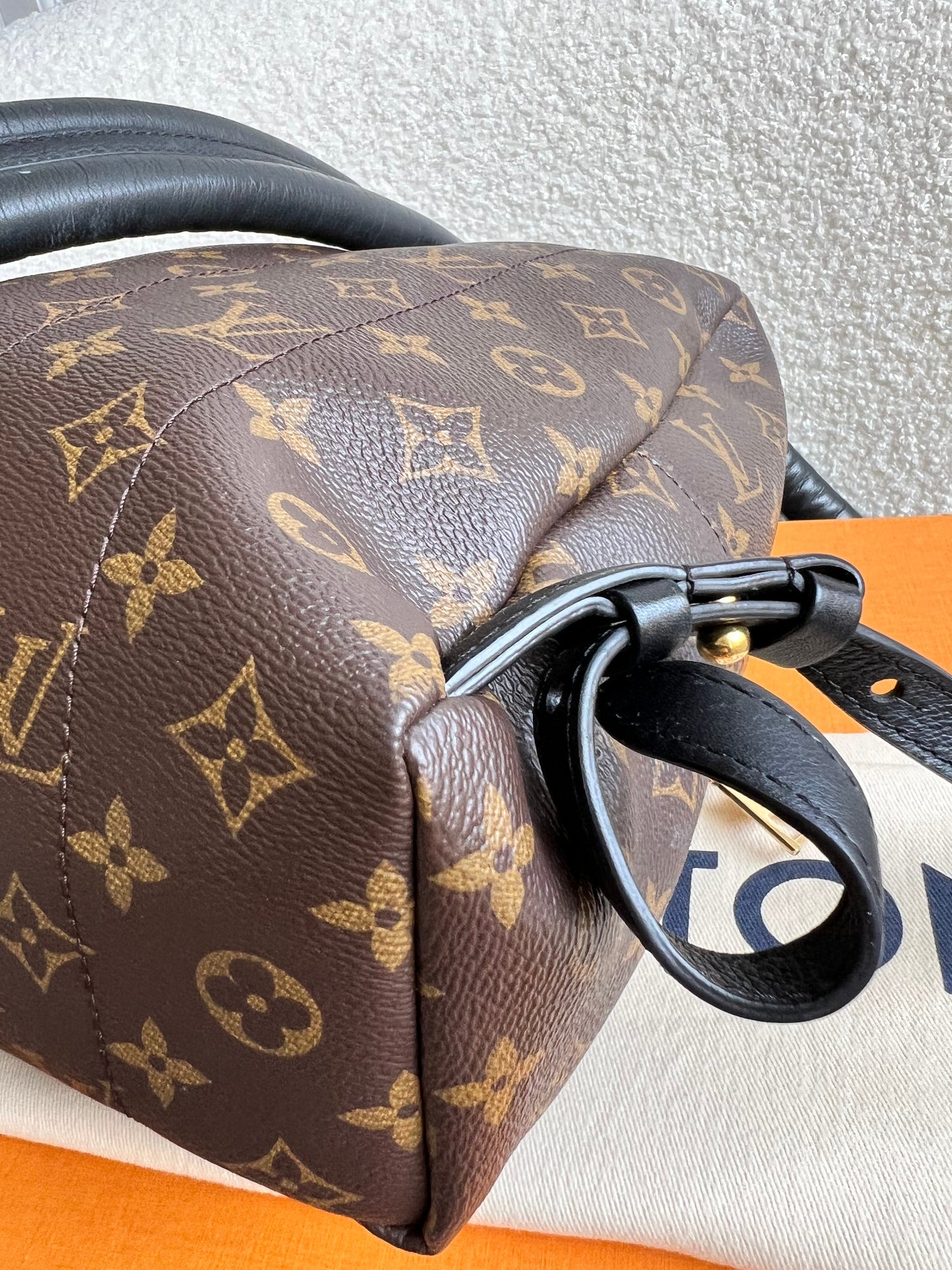 Louis Vuitton Palm Springs PM Backpack