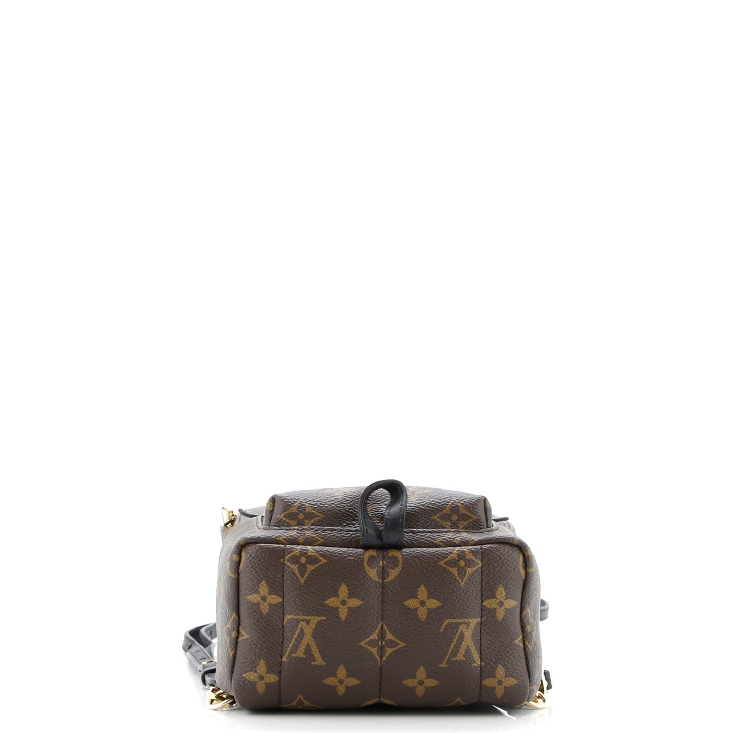 Palm Springs Backpack Monogram Canvas Mini
