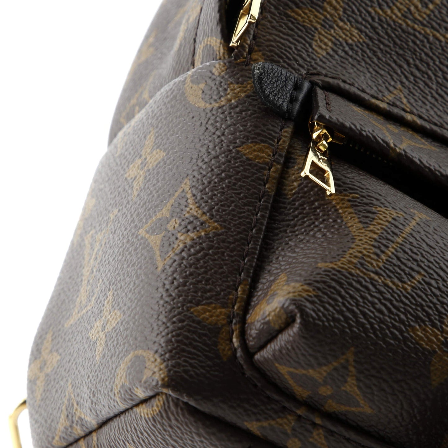 Palm Springs Backpack Monogram Canvas Mini
