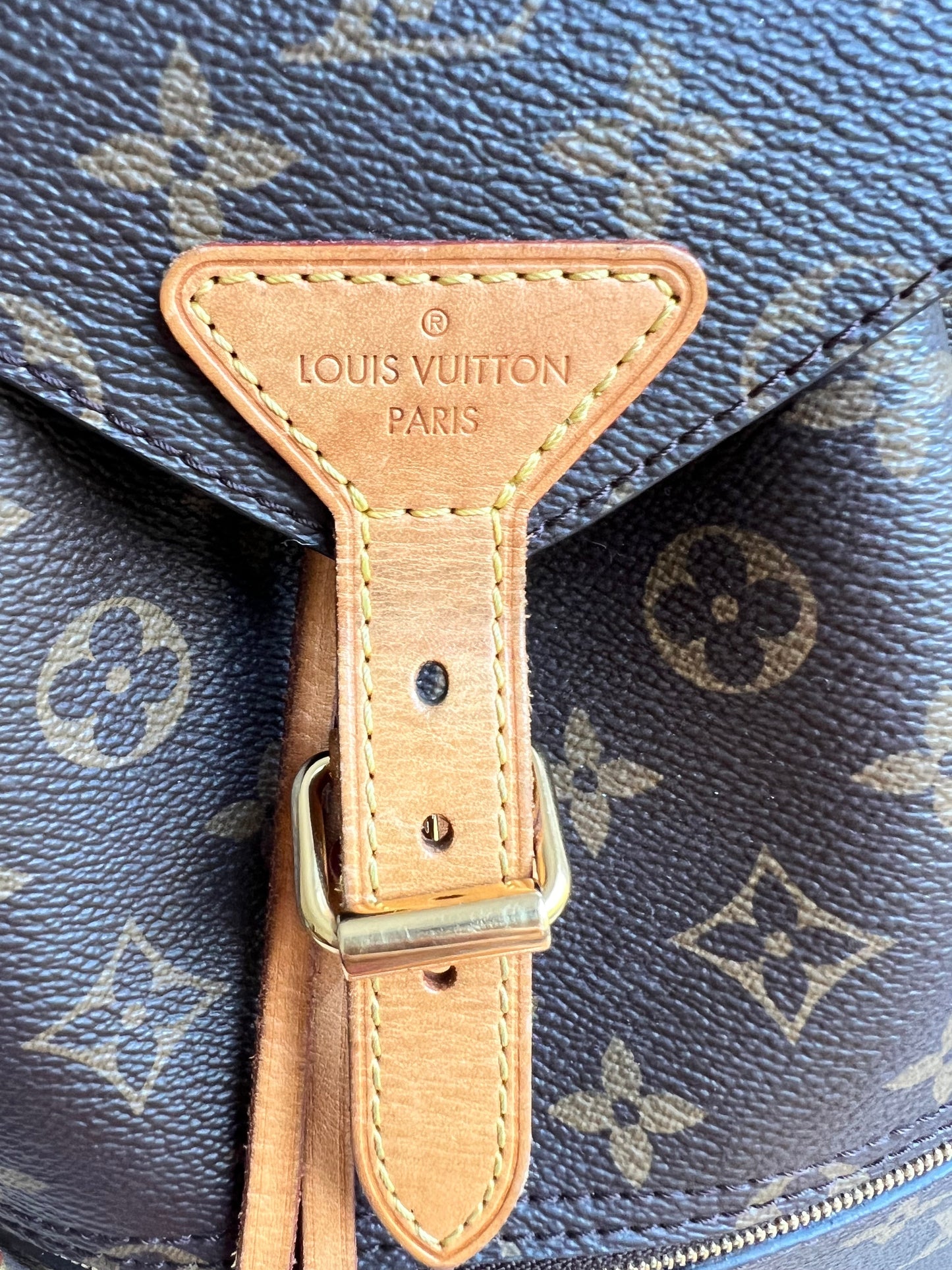Louis Vuitton Montsouris PM Backpack (£1980)