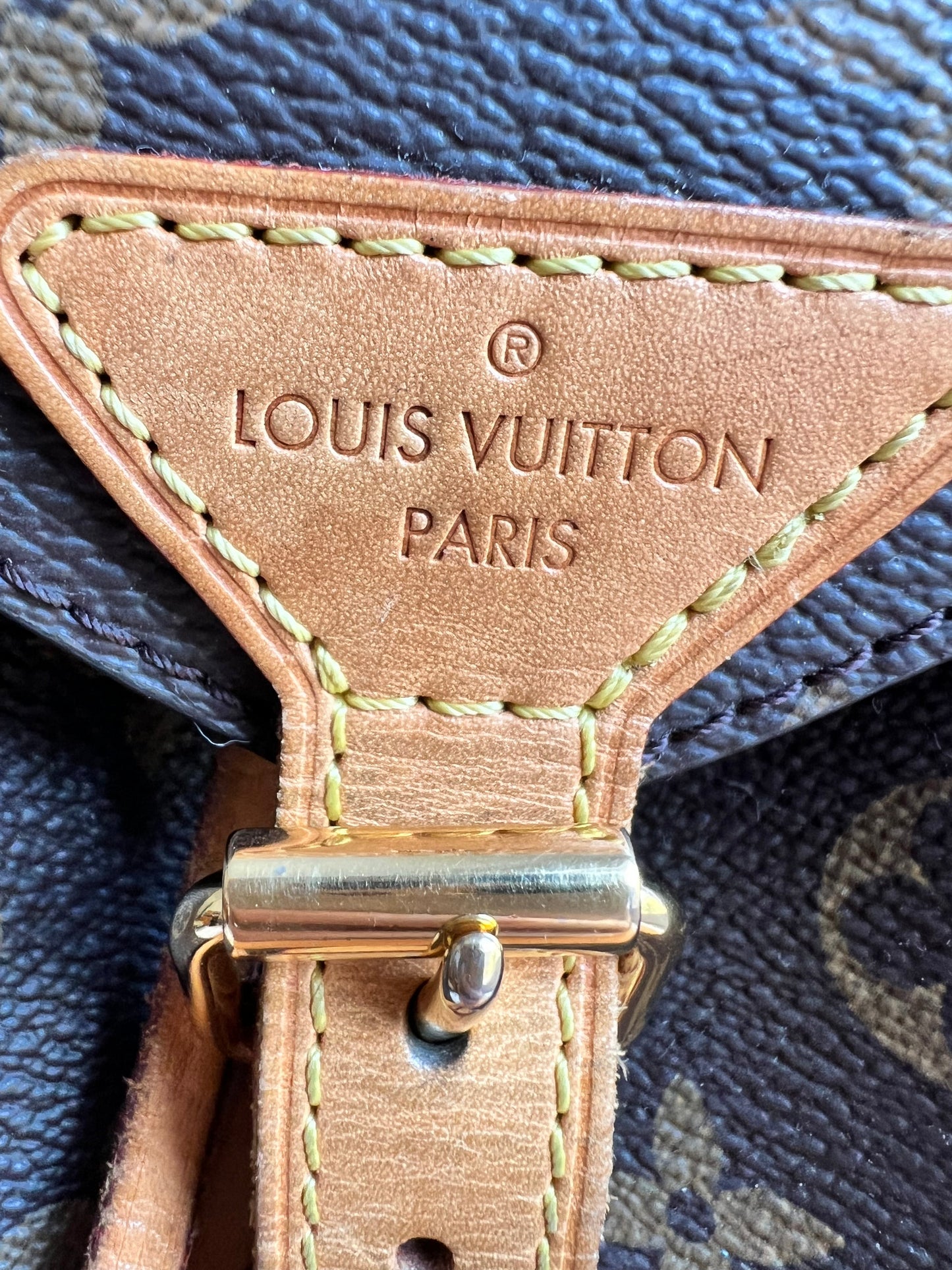 Louis Vuitton Montsouris PM Backpack (£1980)