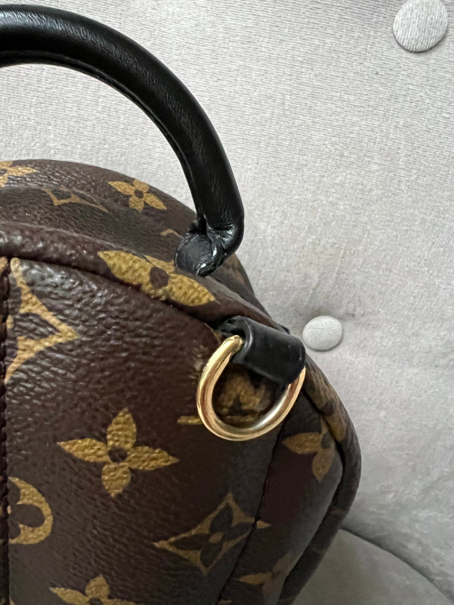 Louis Vuitton Palm Springs Mini Backpack - one strap