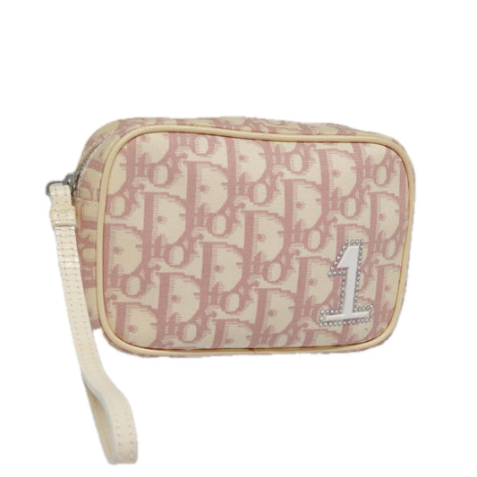 Dior Trotter  Canvas Clutch Bag ()