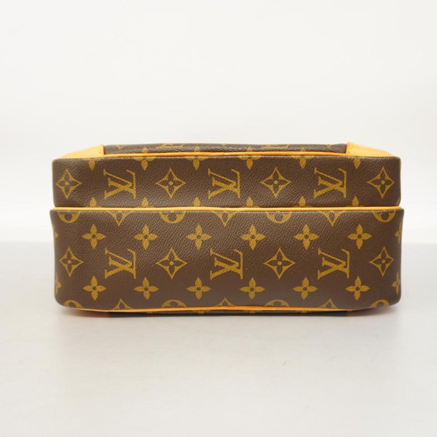 Louis Vuitton Nile  Canvas Shoulder Bag ()