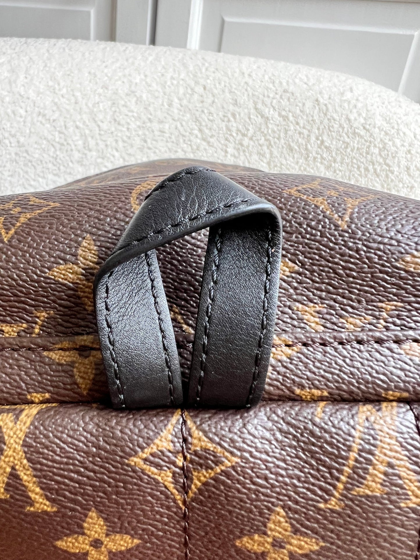 Louis Vuitton Palm Springs PM Backpack