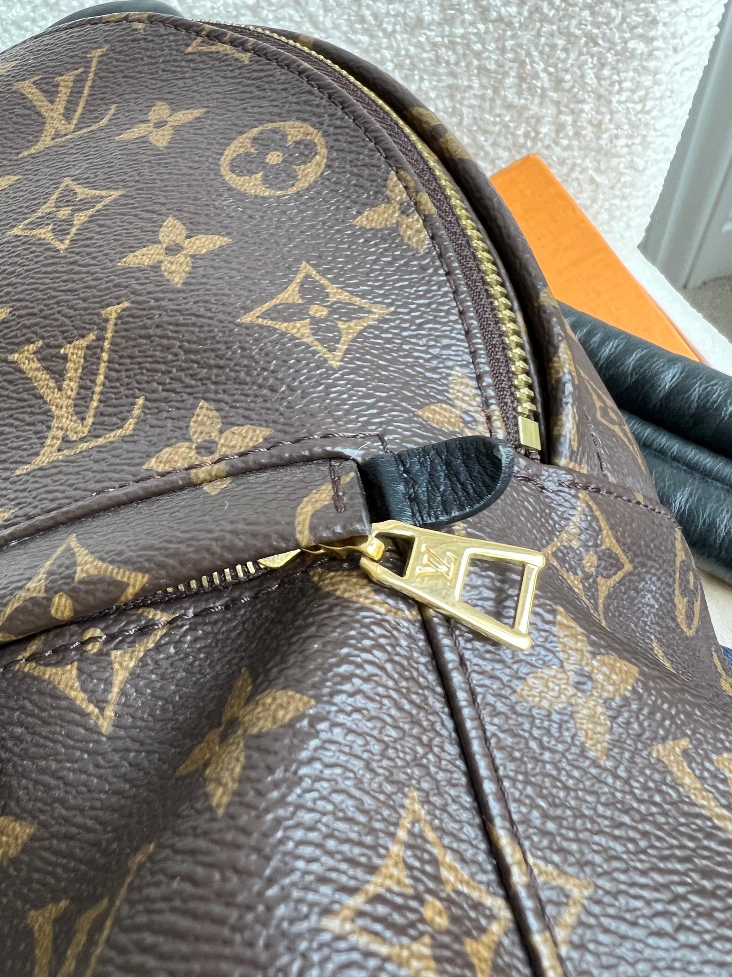 Louis Vuitton Palm Springs PM Backpack