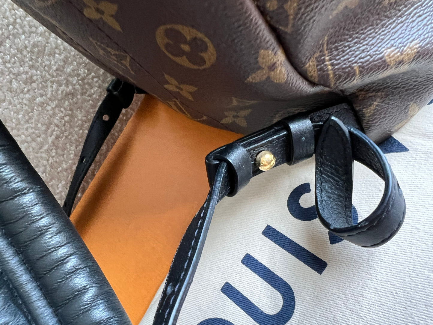 Louis Vuitton Palm Springs PM Backpack