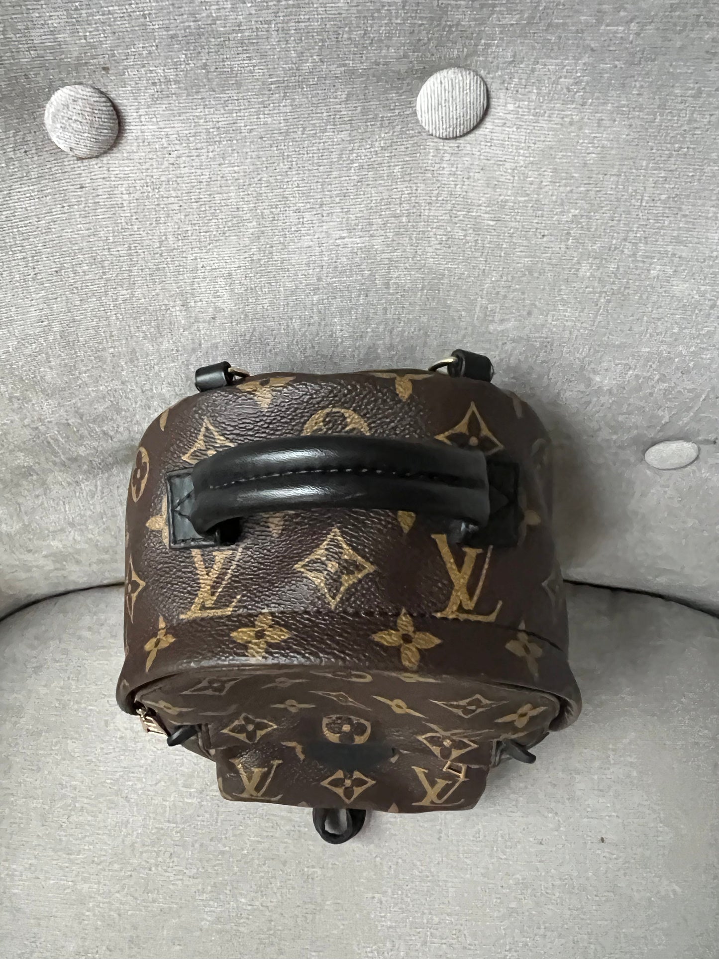 Louis Vuitton Palm Springs Mini Backpack - one strap