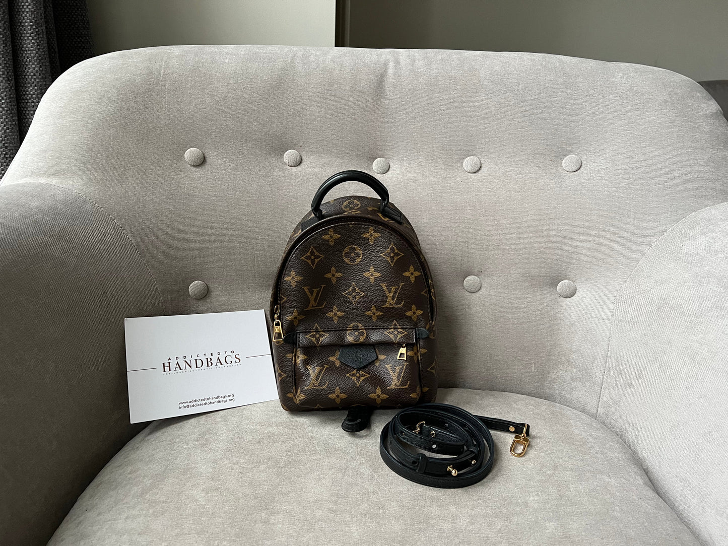 Louis Vuitton Palm Springs Mini Backpack - one strap