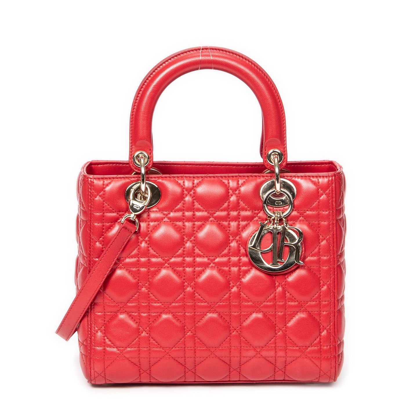 Medium Lady Dior Zip