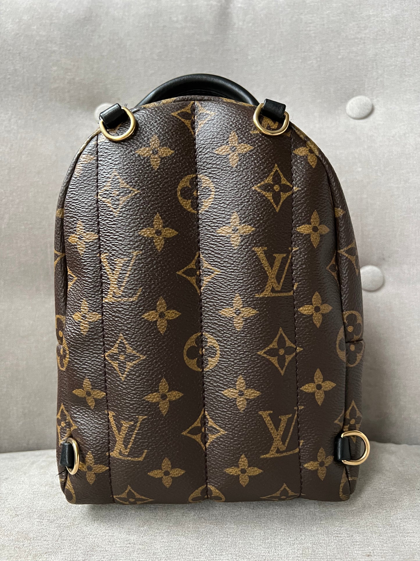 Louis Vuitton Palm Springs Mini Backpack - one strap