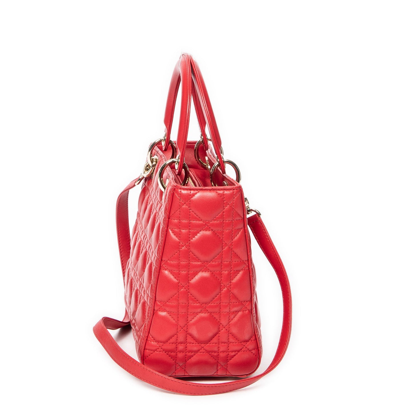 Medium Lady Dior Zip