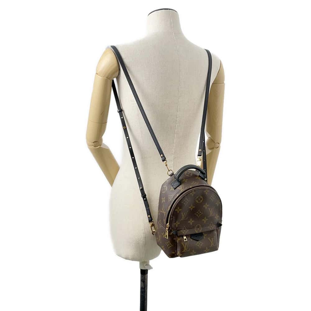LOUIS VUITTON Palm Springs Backpack Noir M44873 Monogram Size MINI