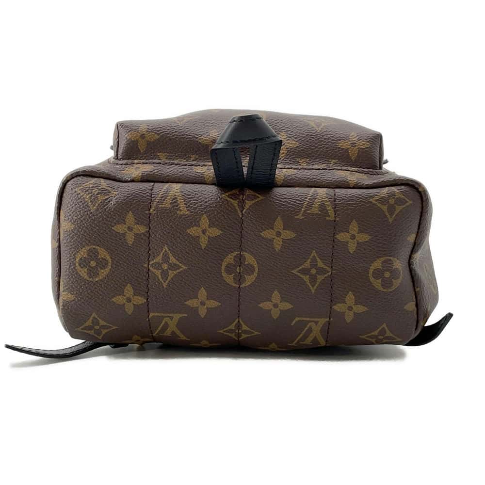 LOUIS VUITTON Palm Springs Backpack Noir M44874 Monogram Size MM