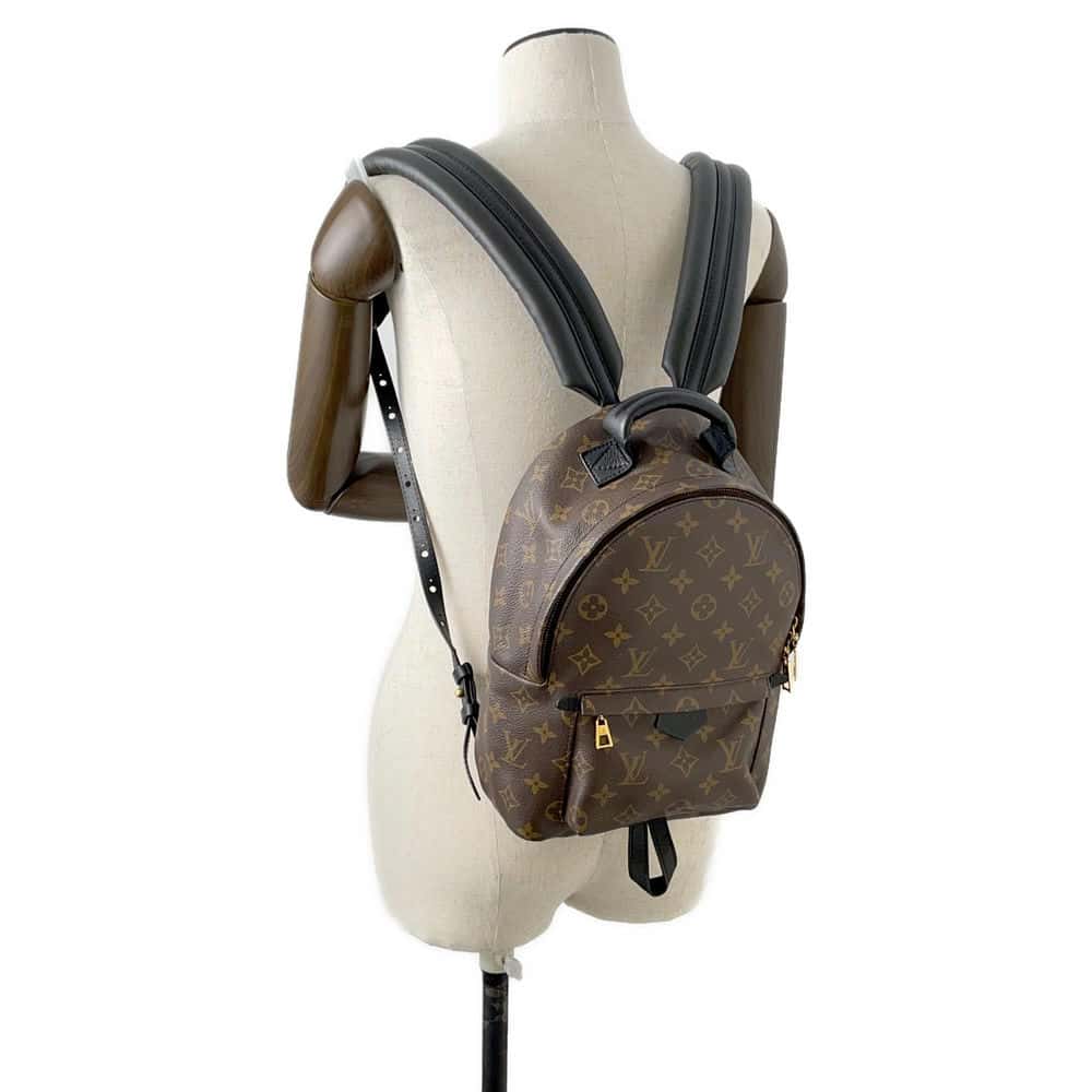 LOUIS VUITTON Palm Springs Backpack Noir M44874 Monogram Size MM