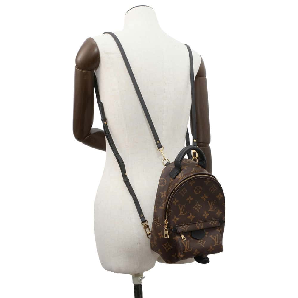 LOUIS VUITTON Palm Springs Backpack Noir M44873 Monogram Size MINI