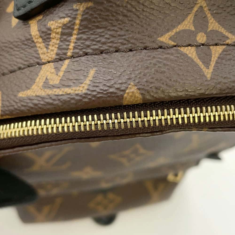 LOUIS VUITTON Palm Springs Backpack Noir M44873 Monogram Size MINI