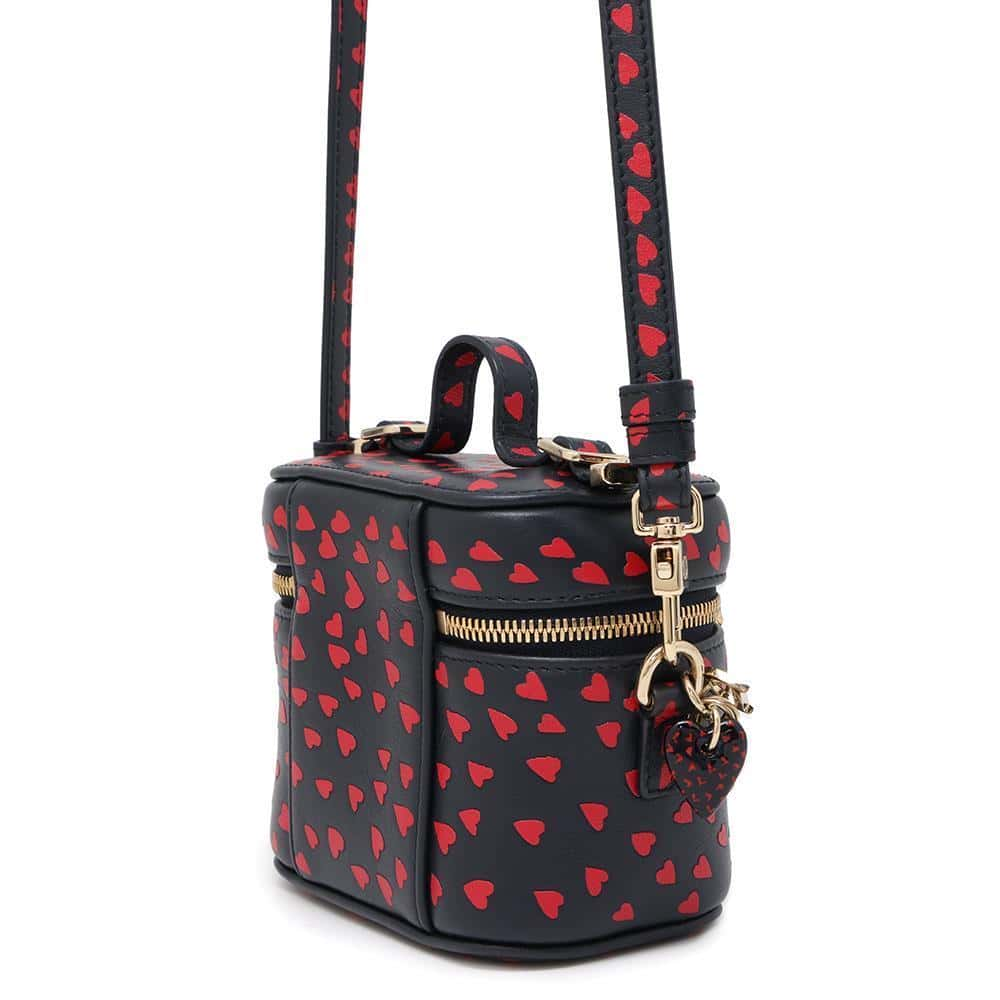 Dior Heart Shoulder Mini Vanity Navy/Red S09180SGA Leather