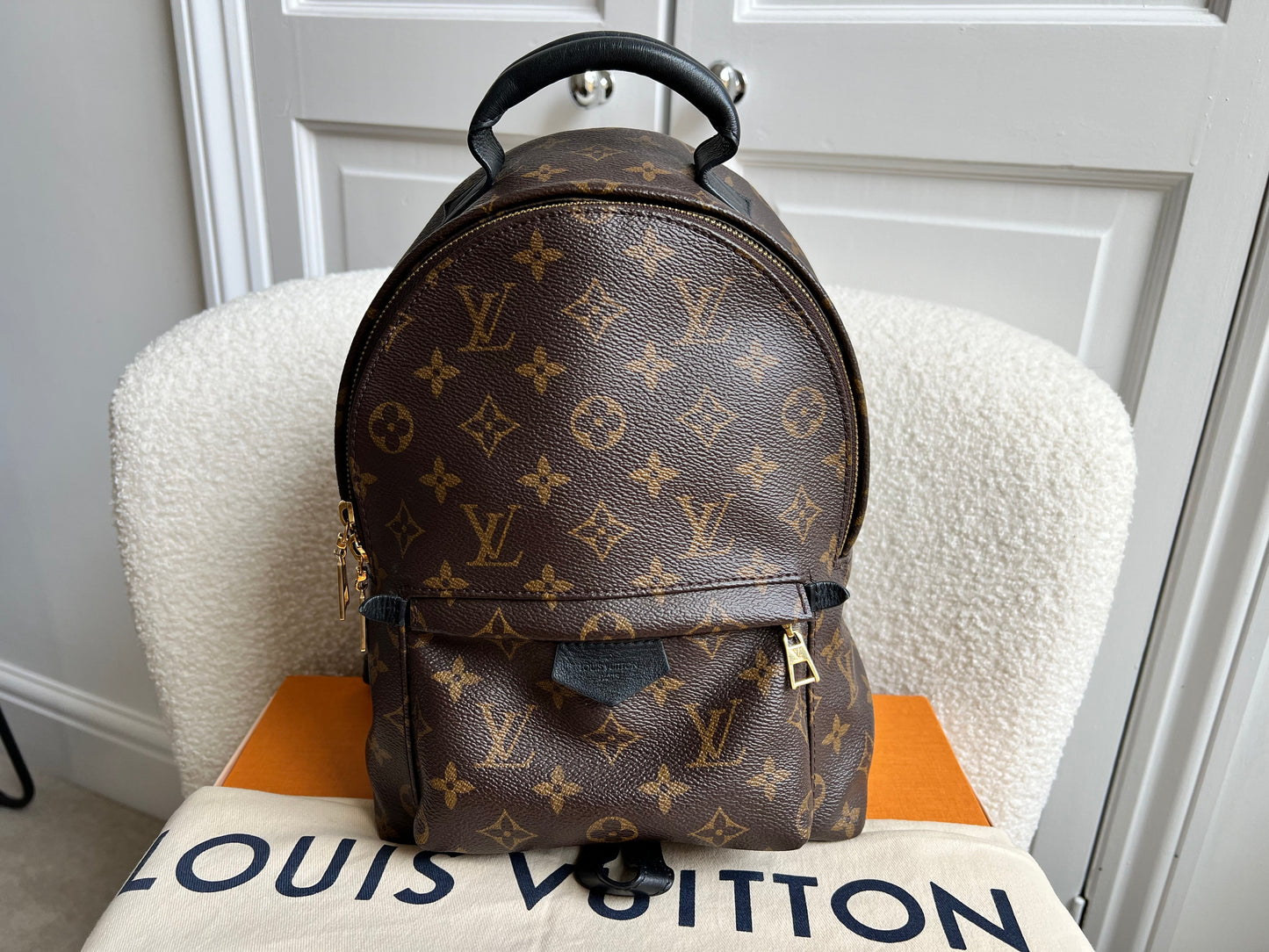 Louis Vuitton Palm Springs PM Backpack