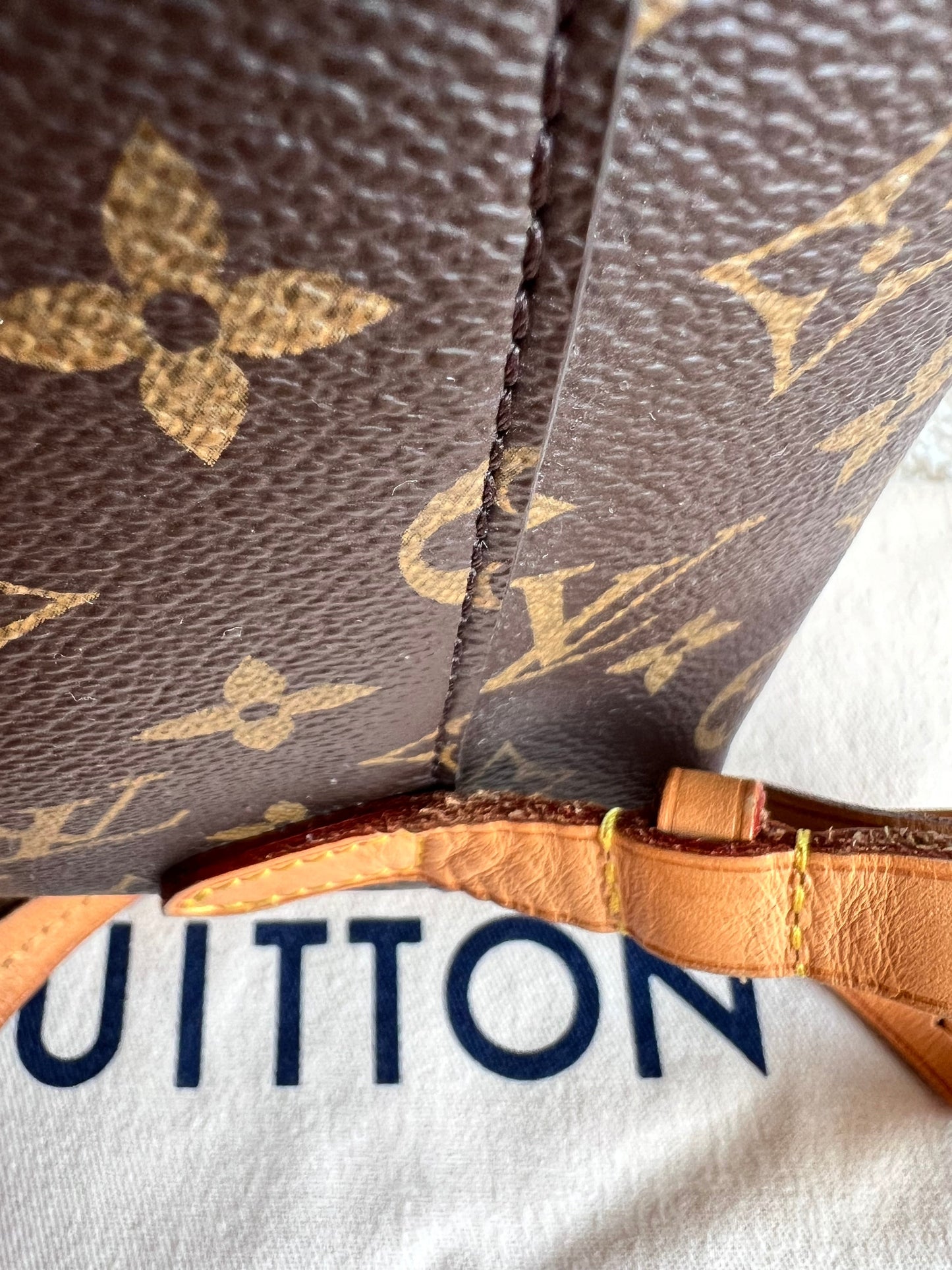 Louis Vuitton Montsouris PM Backpack (£1980)