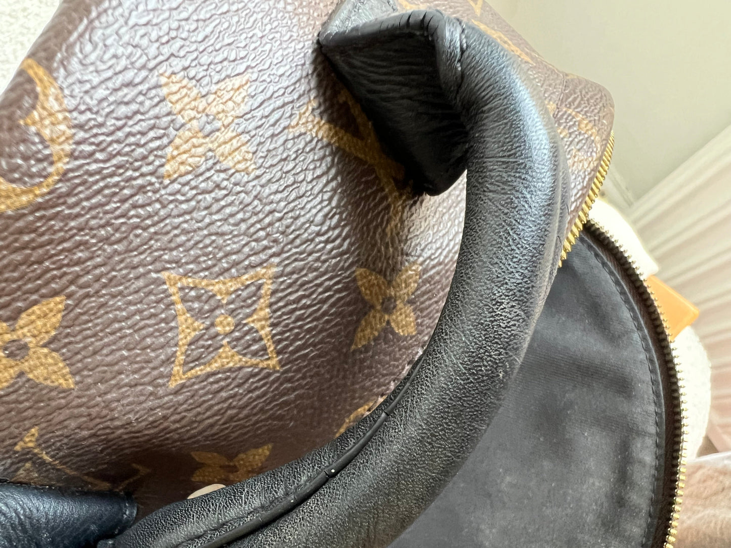 Louis Vuitton Palm Springs PM Backpack