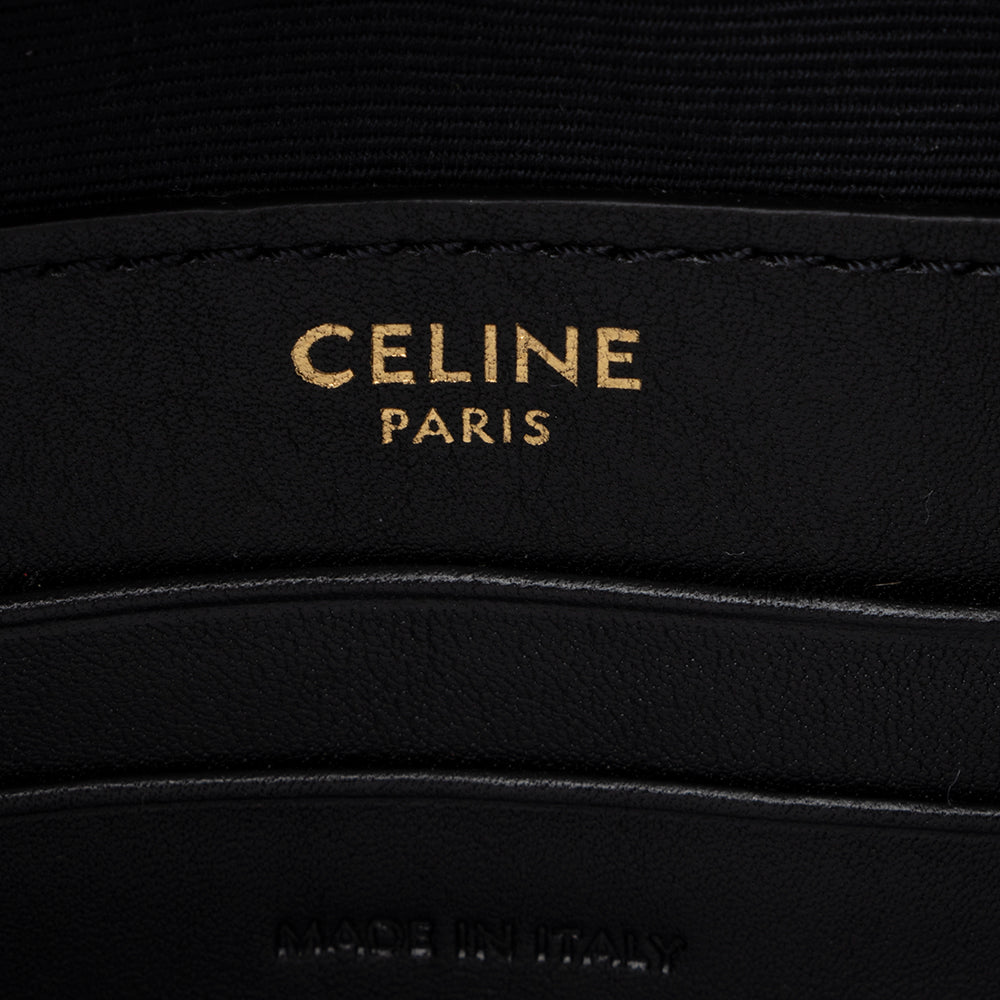 Celine Calfskin C Charm Small Camera Bag