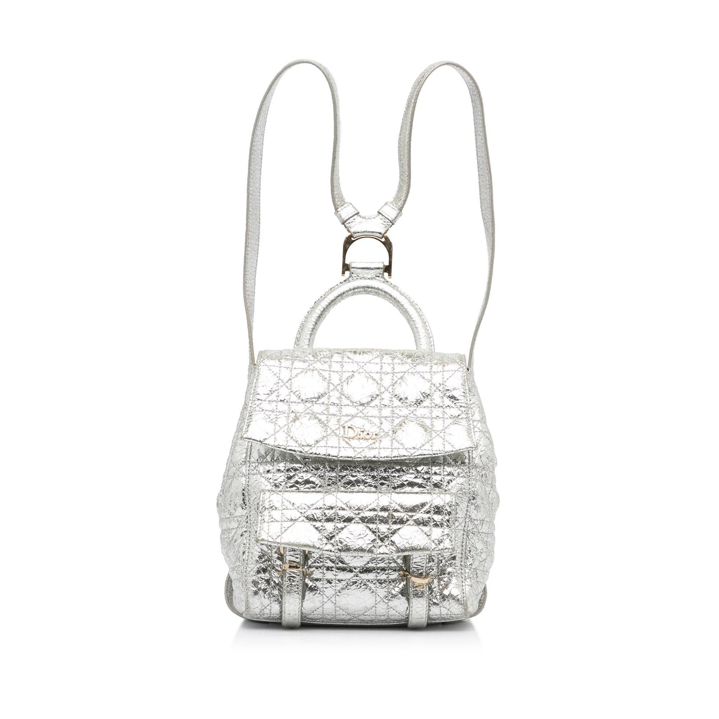 Dior Cannage Stardust Backpack