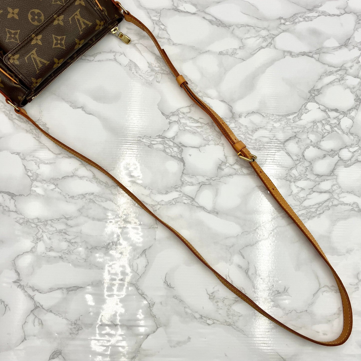 LOUIS VUITTON Monogram Viva Cite PM