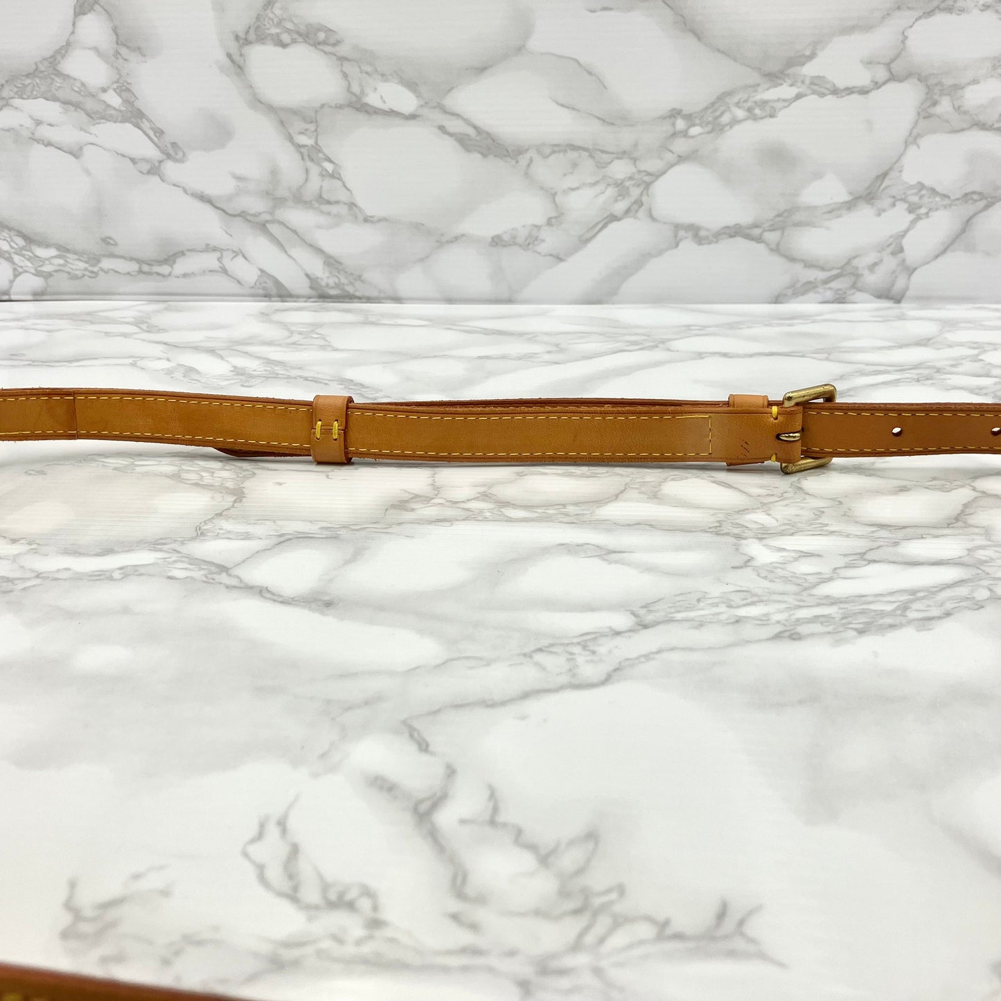 LOUIS VUITTON Monogram Viva Cite PM