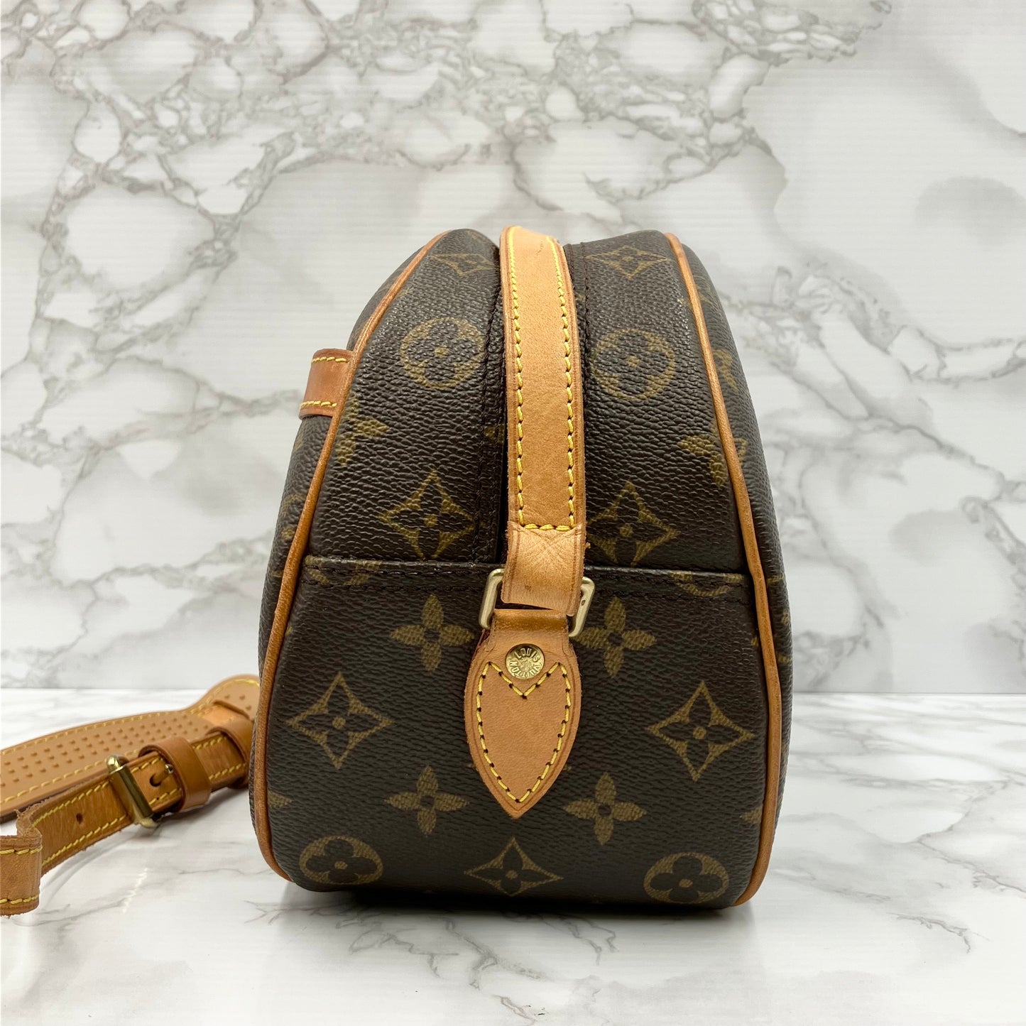 LOUIS VUITTON Monogram brois shoulder bag