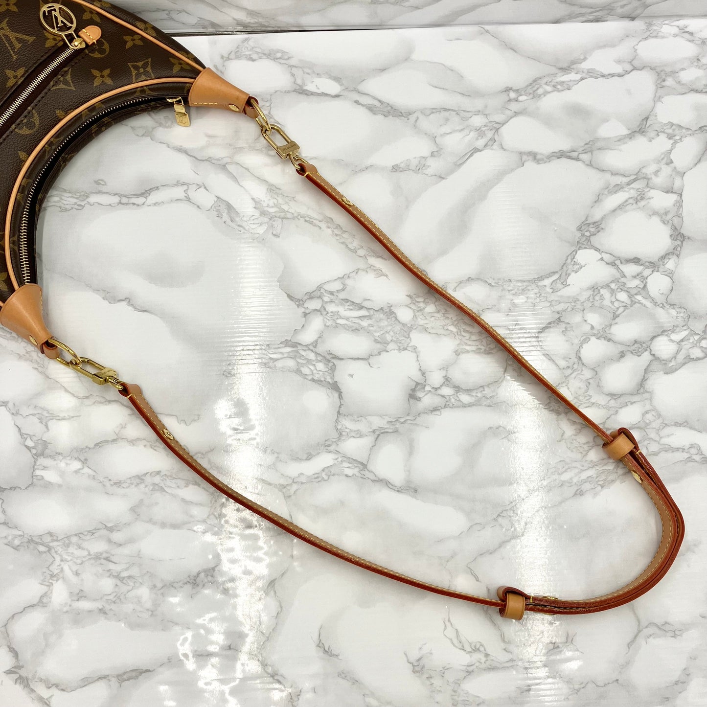 LOUIS VUITTON Monogram Loop Shoulder Bag RFID