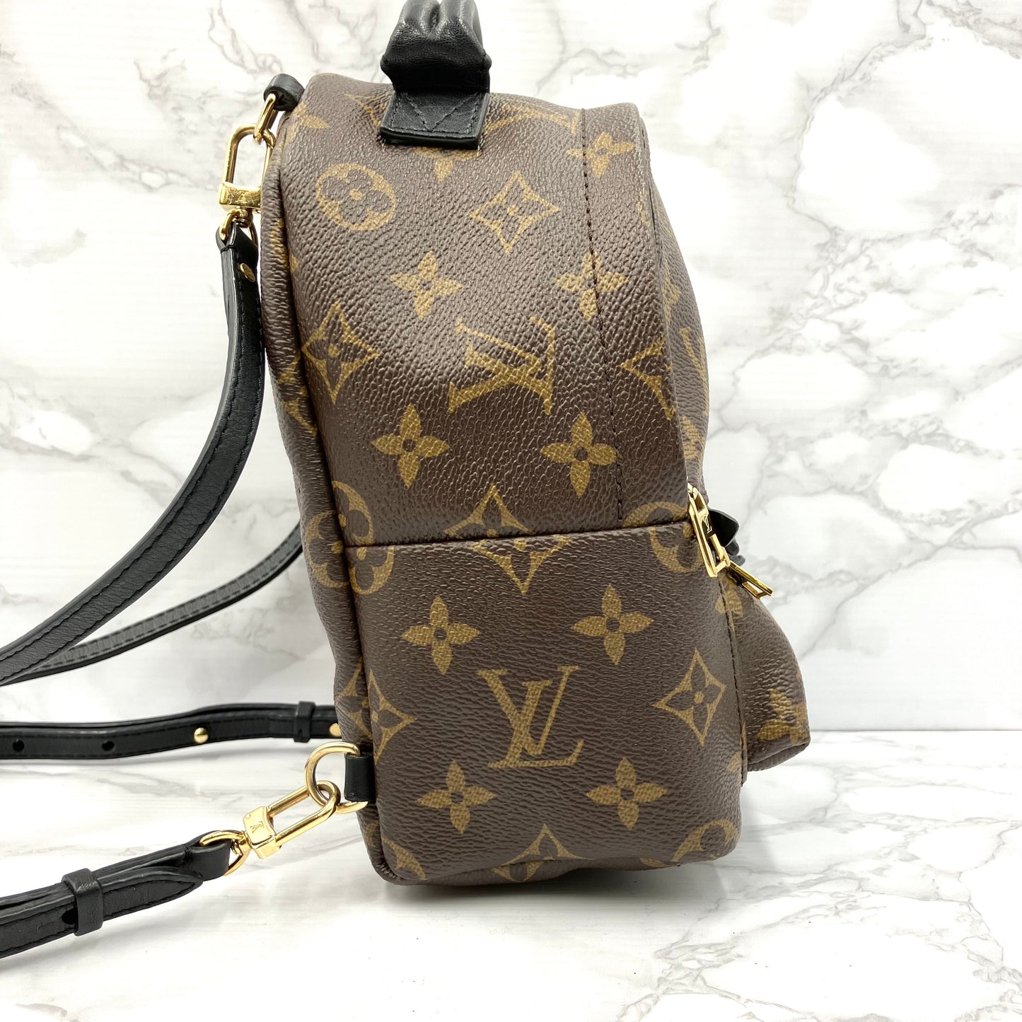 LOUIS VUITTON Monogram Mini Palm Springs Backpack