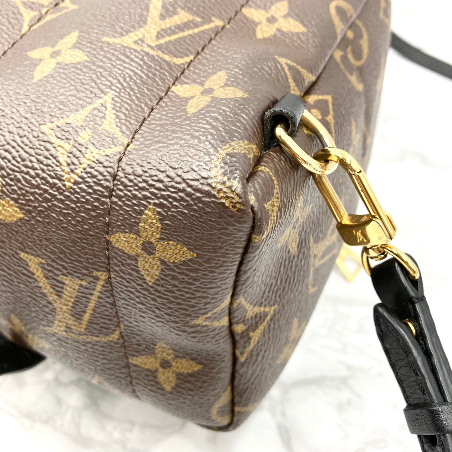 LOUIS VUITTON Monogram Mini Palm Springs Backpack