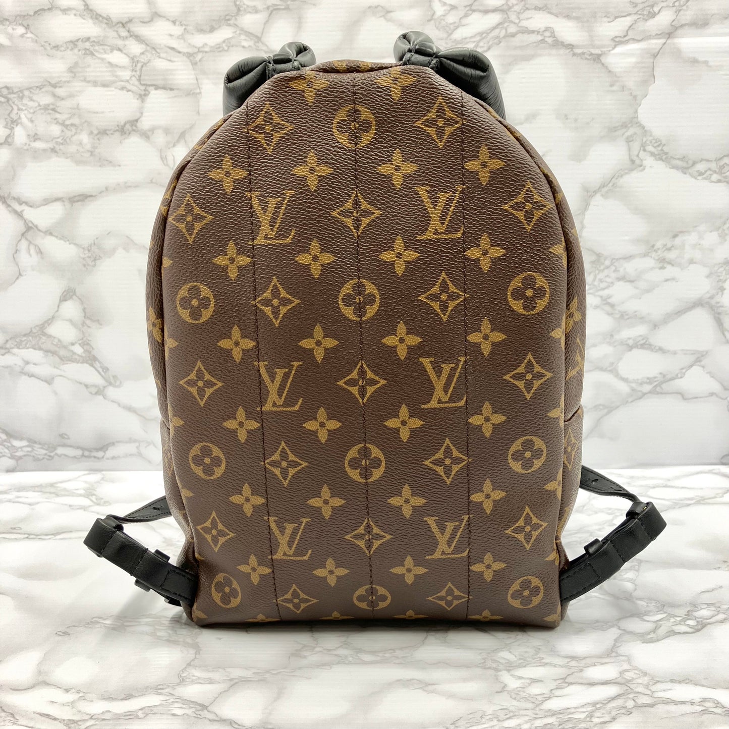 LOUIS VUITTON Monogram Palm Springs PM