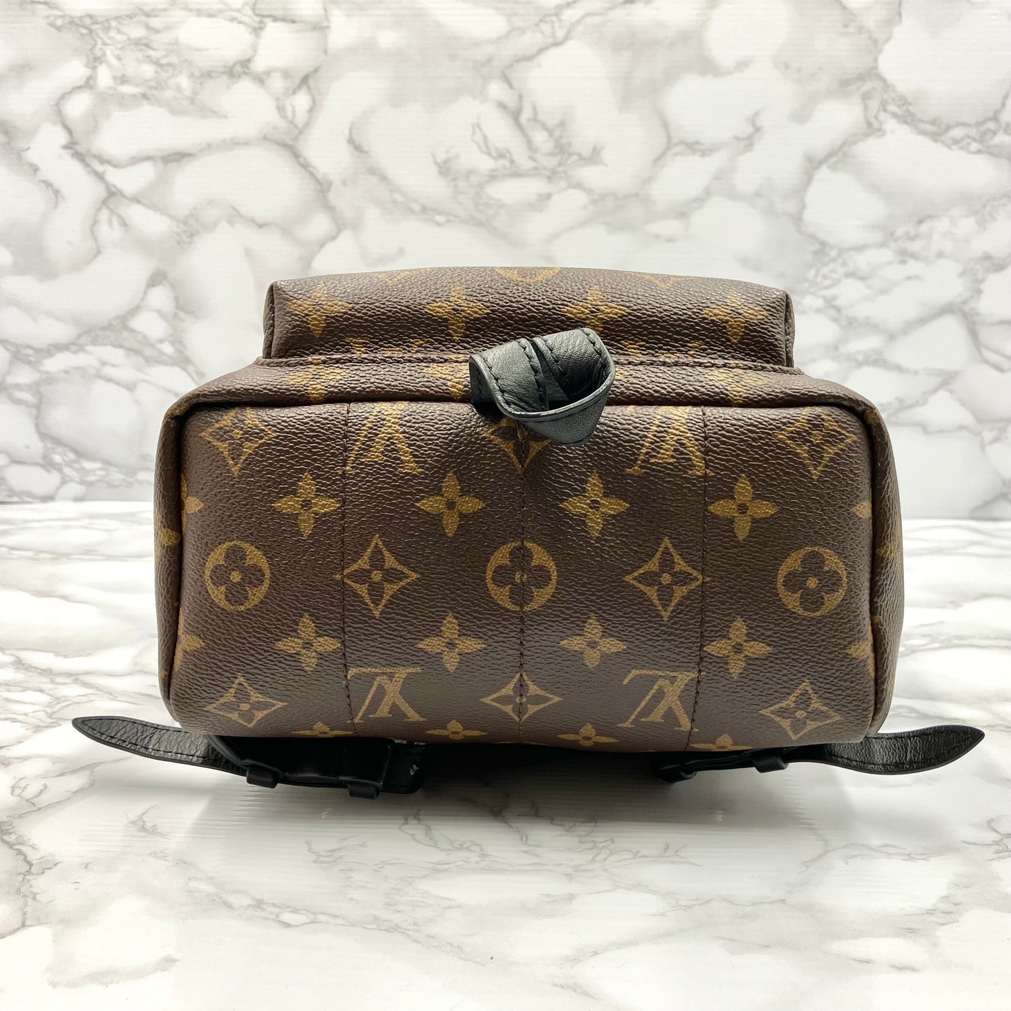 LOUIS VUITTON Monogram Palm Springs PM
