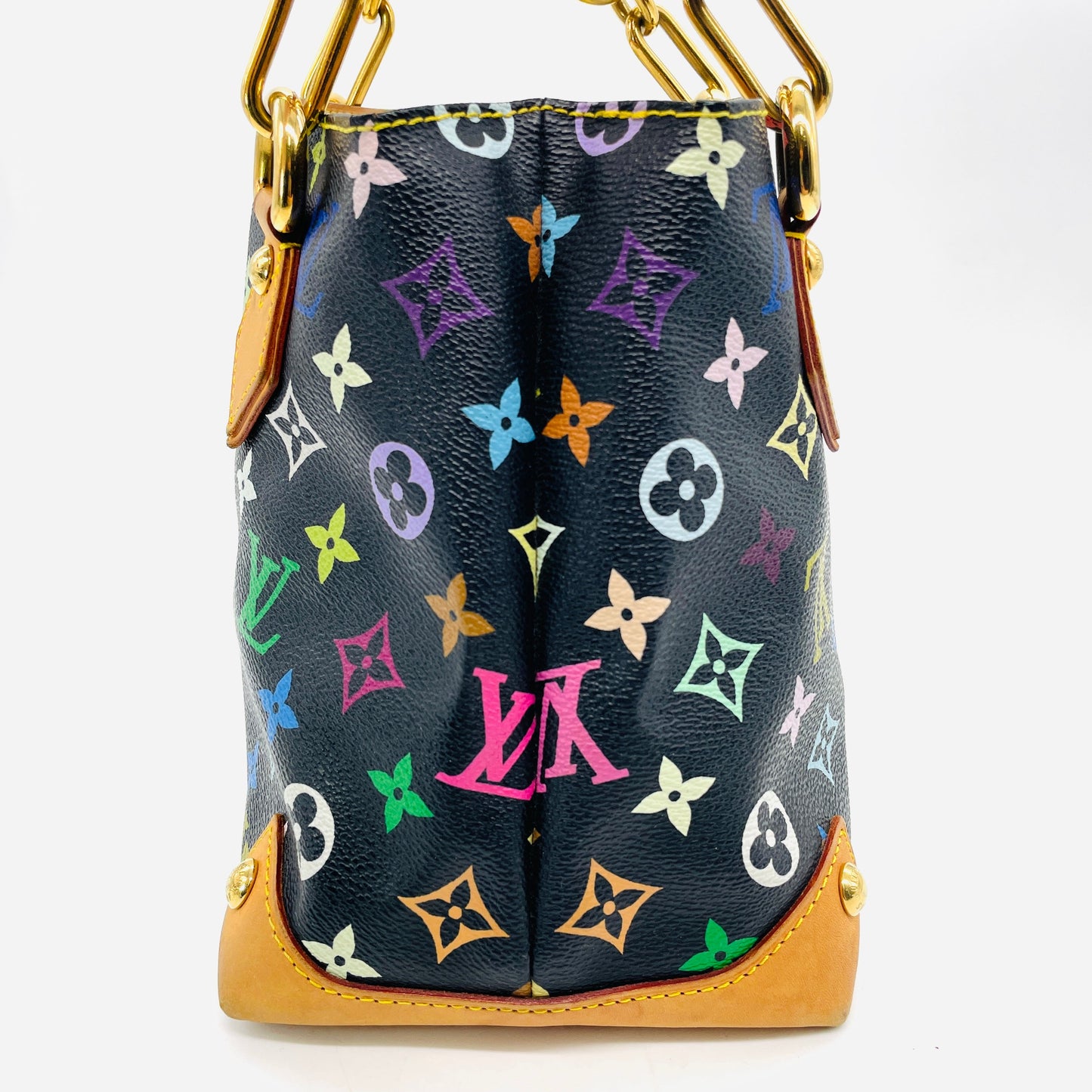 LOUIS VUITTON Multicolor Audra