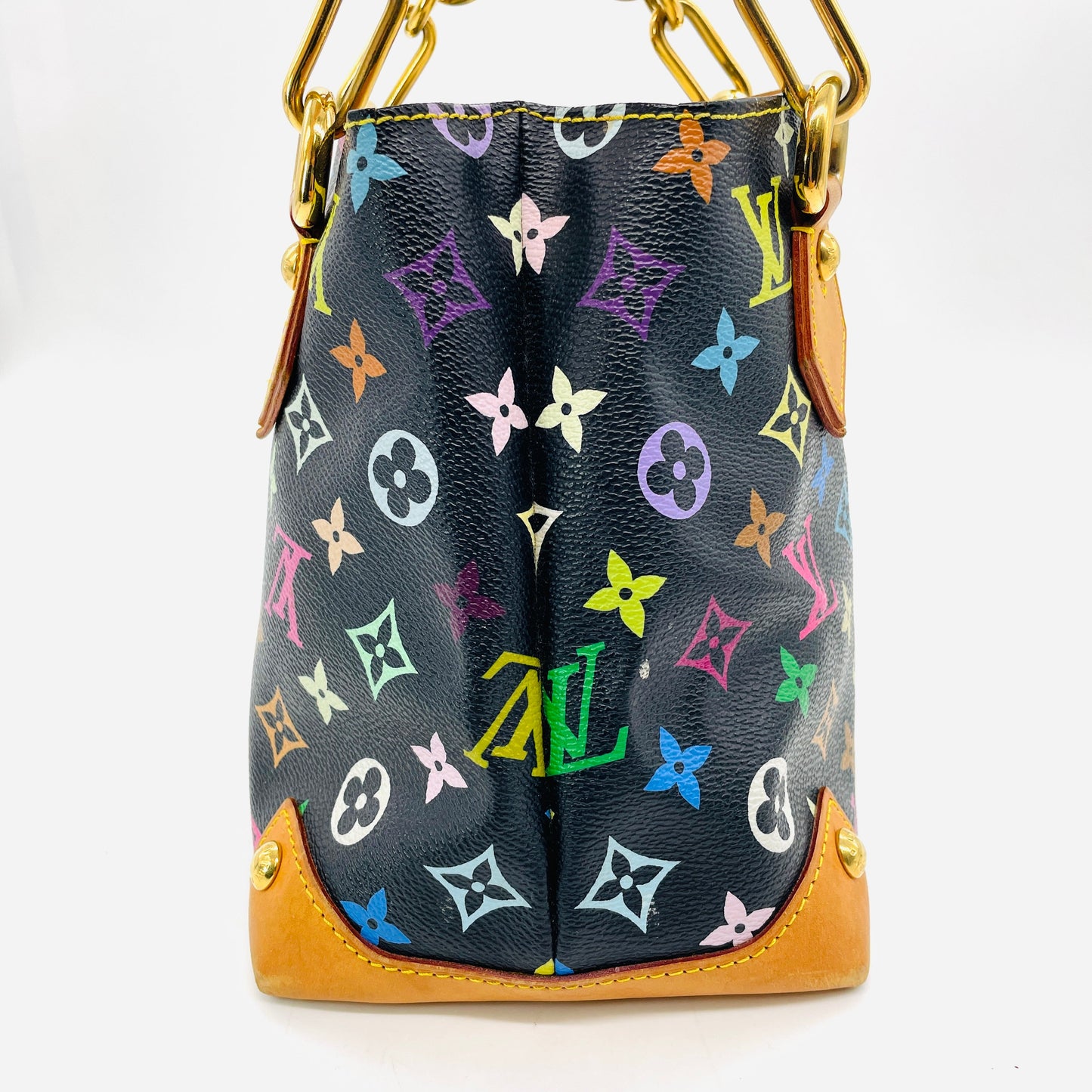 LOUIS VUITTON Multicolor Audra
