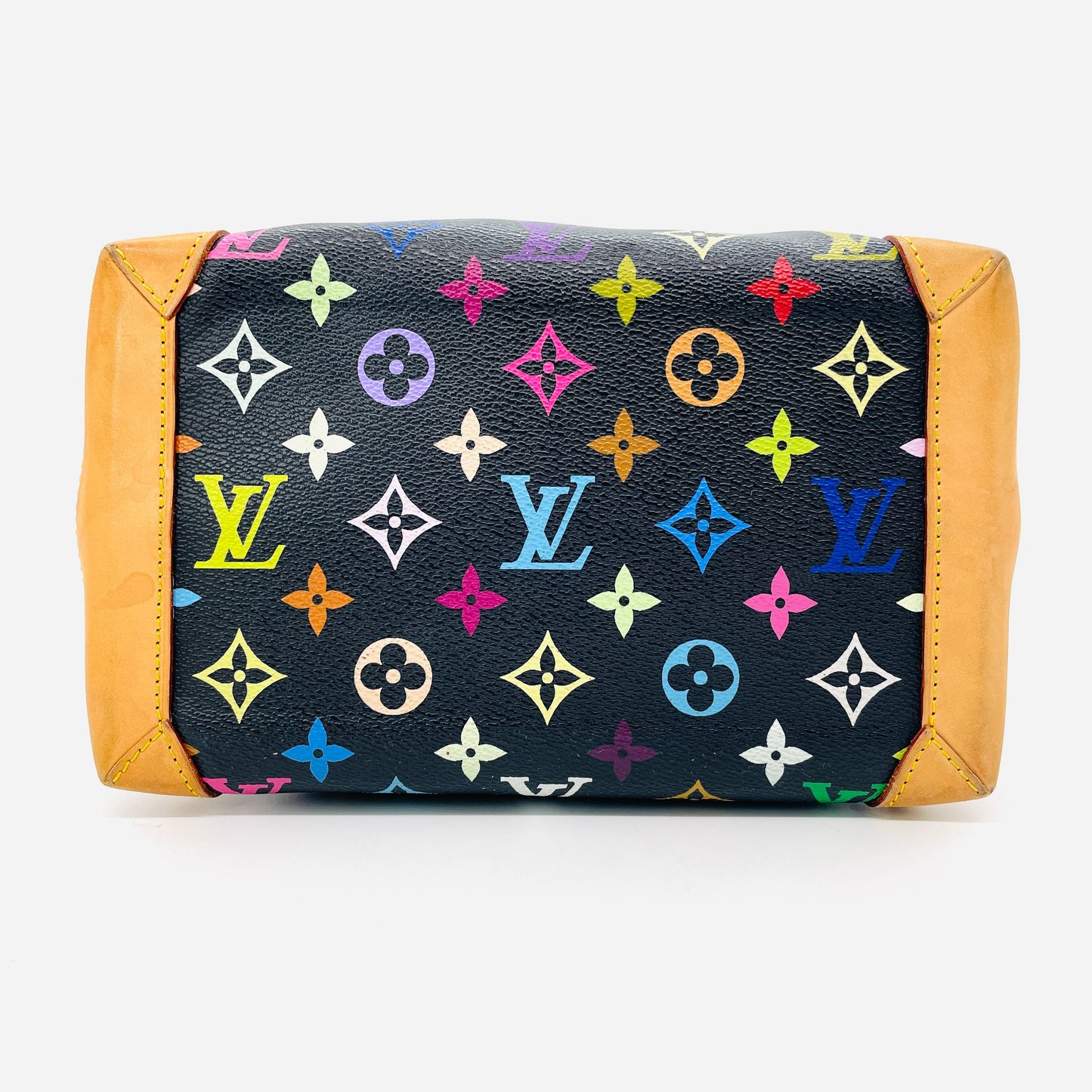 LOUIS VUITTON Multicolor Audra