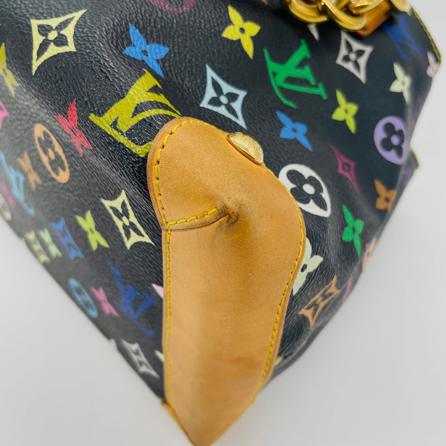 LOUIS VUITTON Multicolor Audra