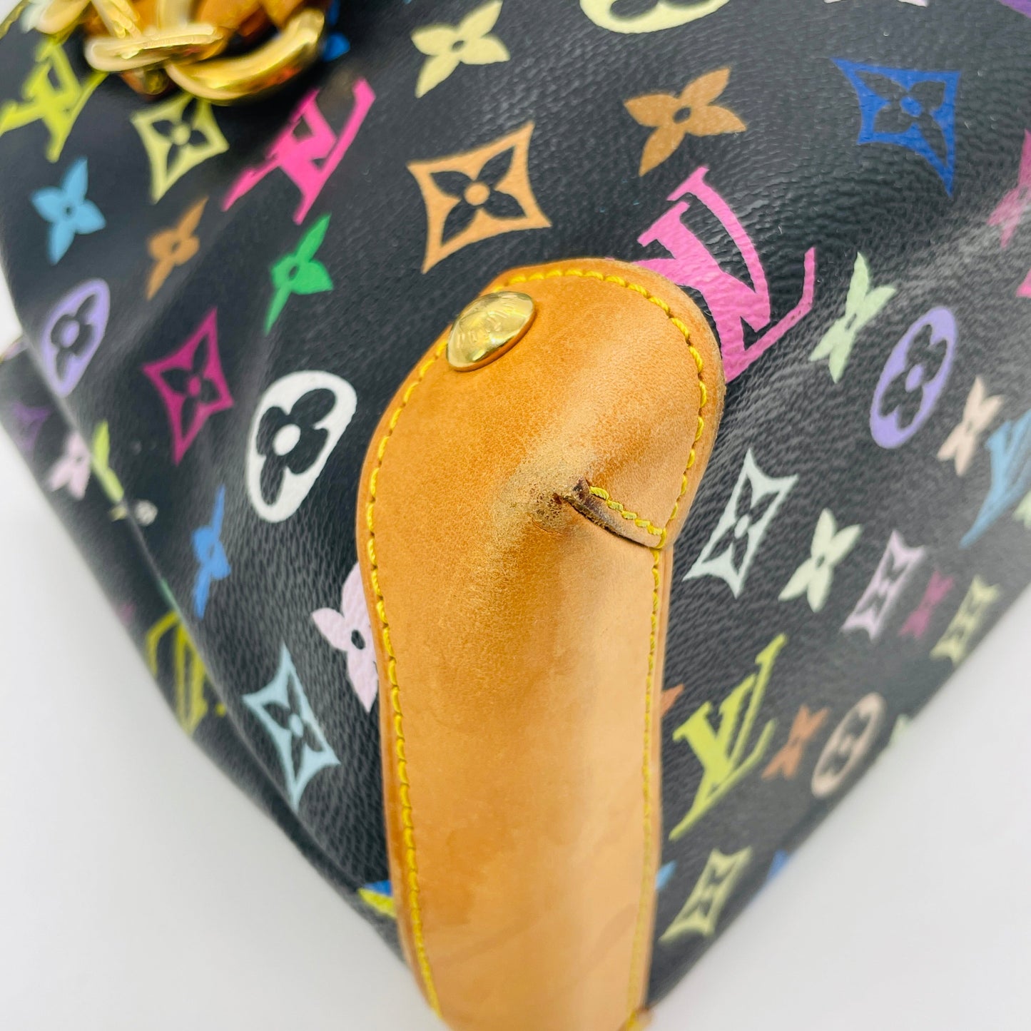 LOUIS VUITTON Multicolor Audra
