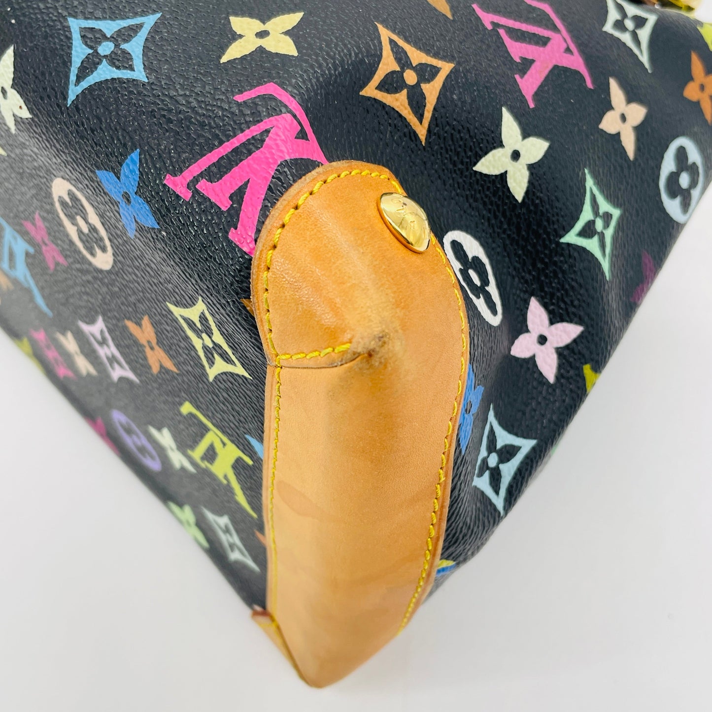 LOUIS VUITTON Multicolor Audra
