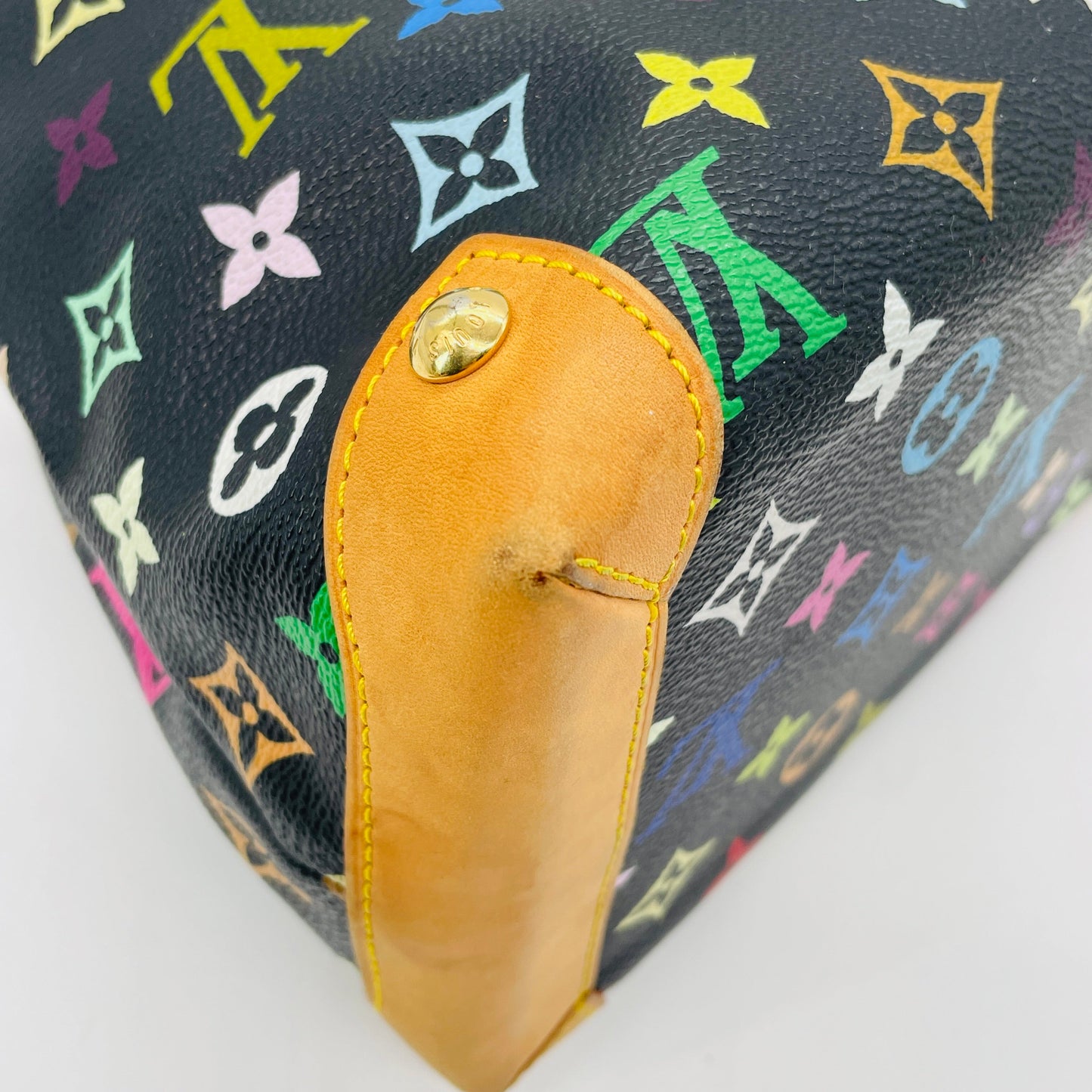 LOUIS VUITTON Multicolor Audra