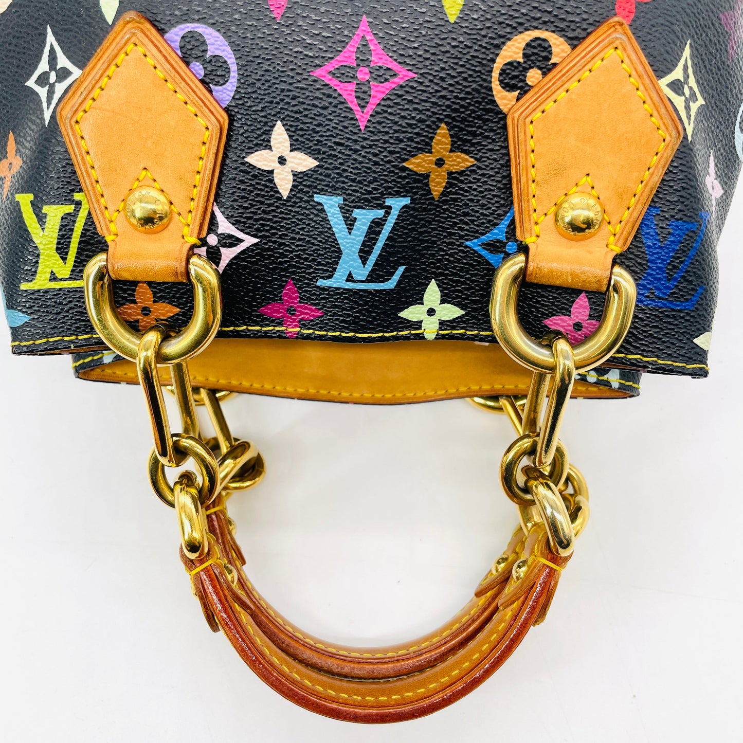 LOUIS VUITTON Multicolor Audra